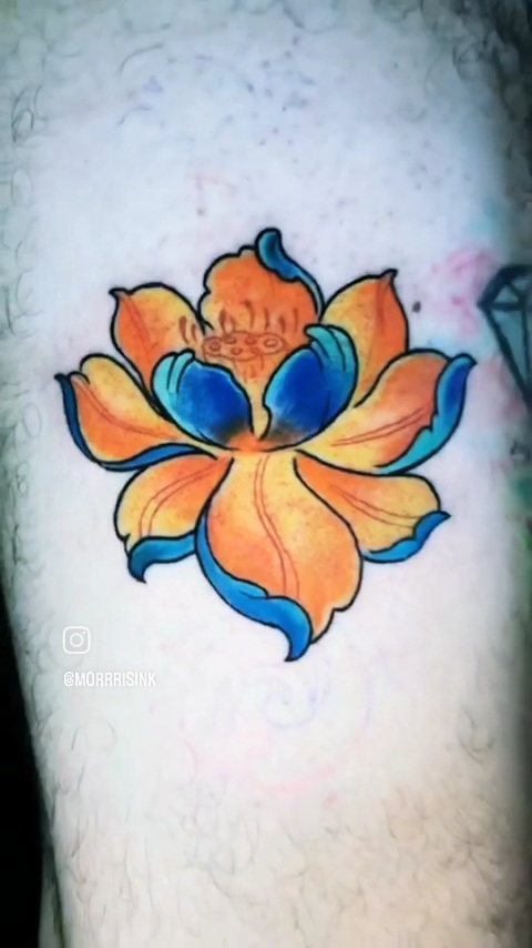 VideoCapture_20231101-215025